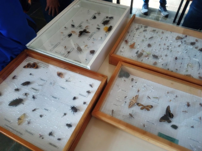 IMESB recebe a visita dos alunos da Escola José Francisco Paschoal