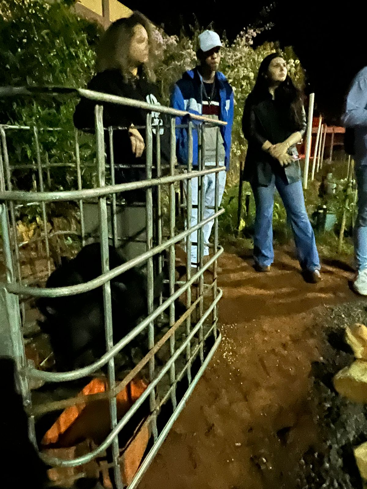 10b205a1-3d3b-4a70-80d6-5bbc5b861c96