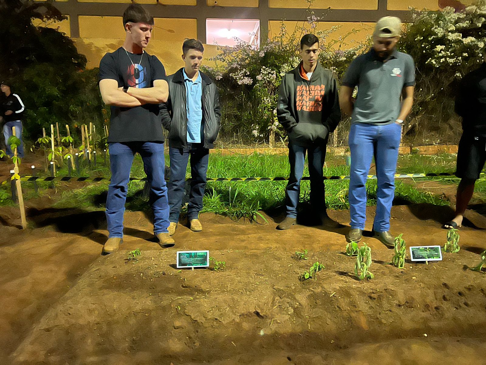 260e3117-7066-4167-bc7c-6b41863336ac