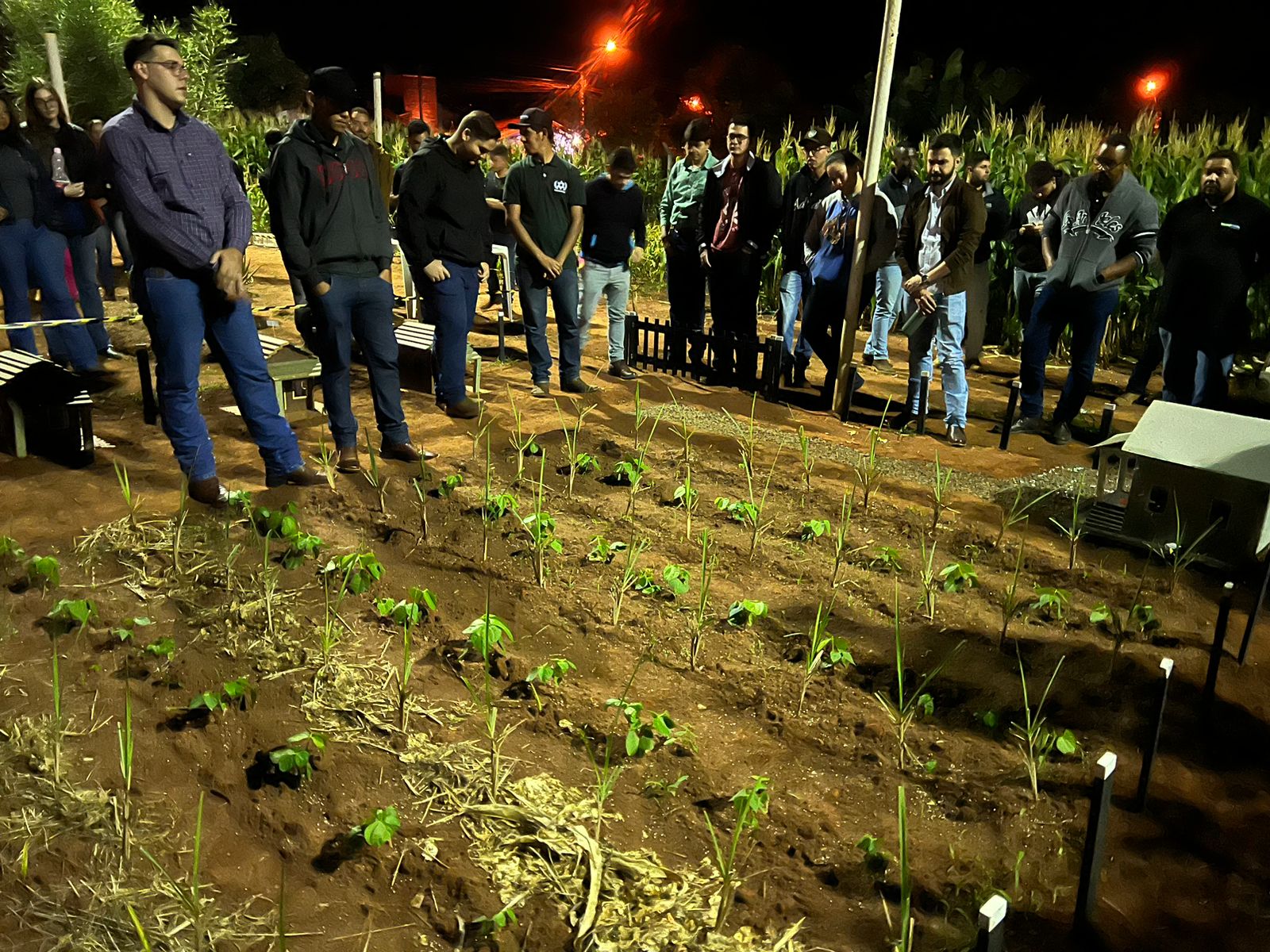 087374be-6cd4-4b12-bac6-cf81dd921950