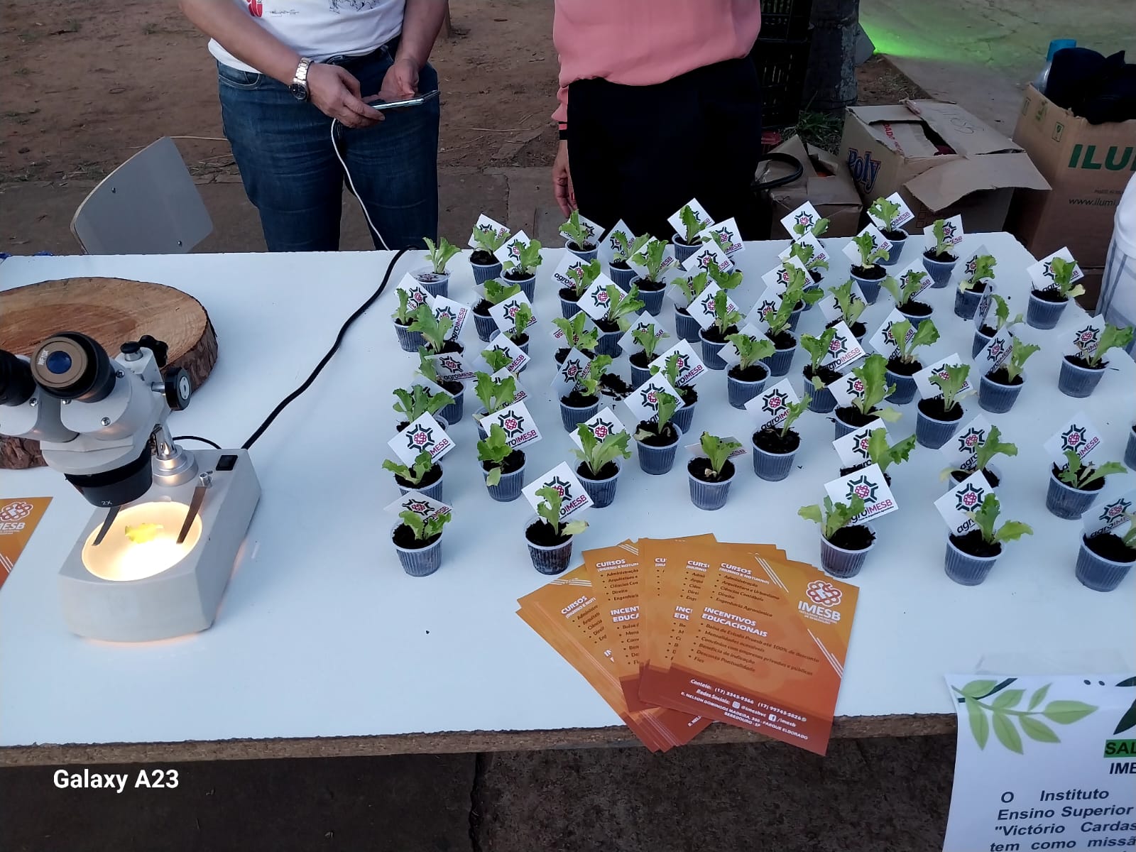 07a35bbf-0c53-49d4-8d7b-b840dd8bb143