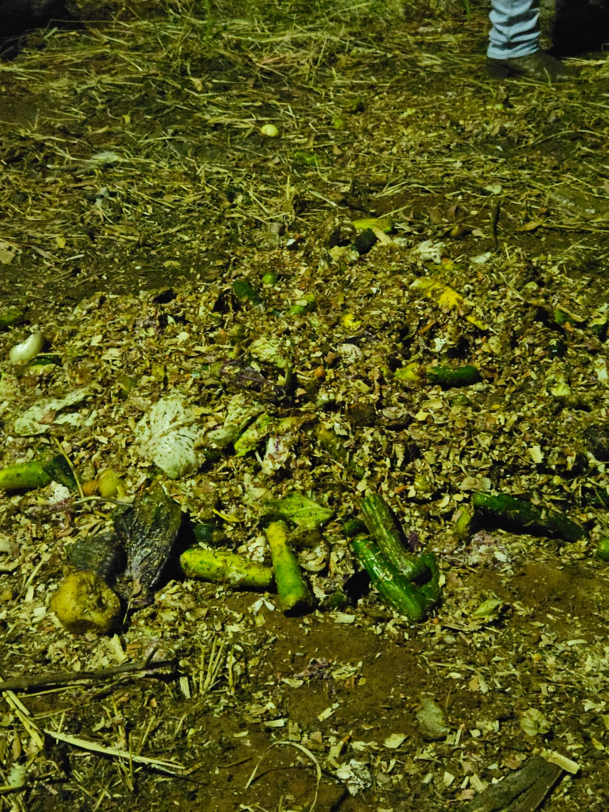 acfacf7a-b056-44ed-ab8e-6a3c800624ac