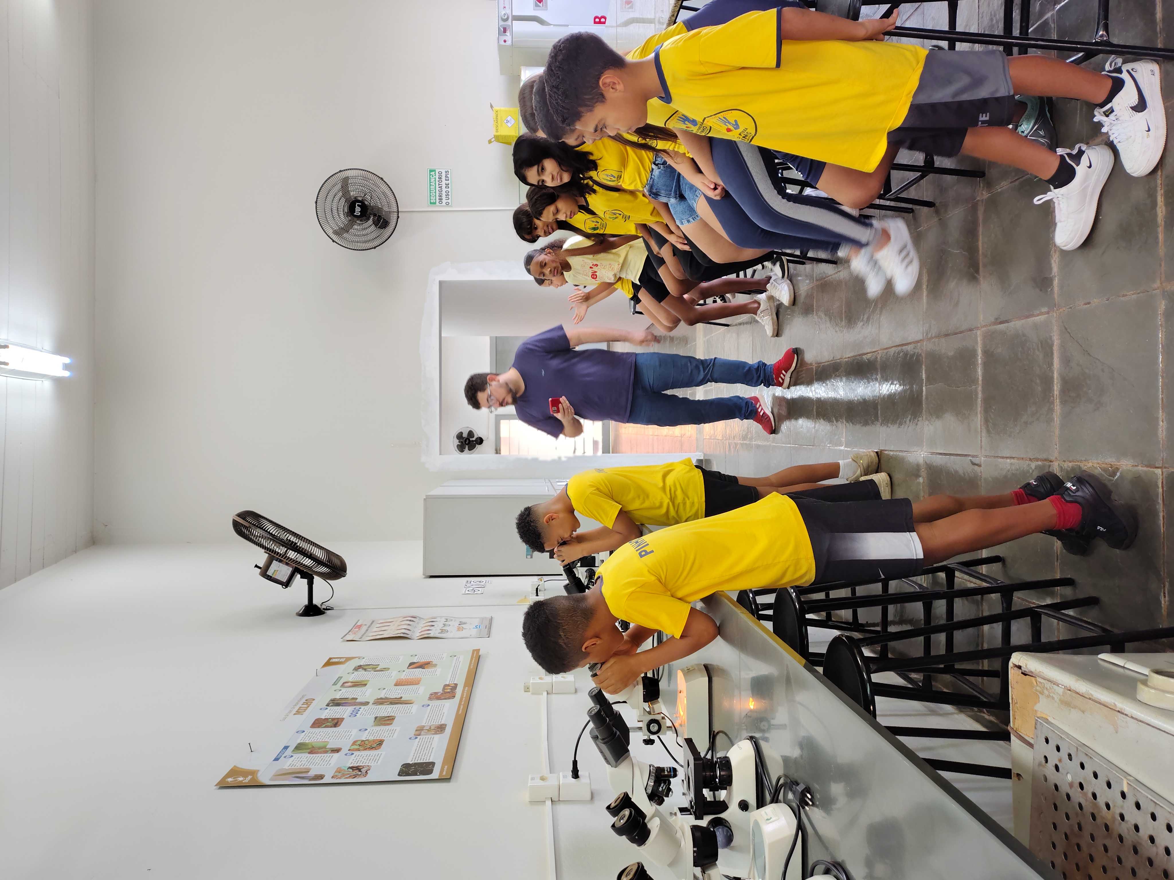 Alunos da Escola João Pereira Pinho visitam projeto sobre formigas cortadeiras na Faculdade Municipal de Bebedouro