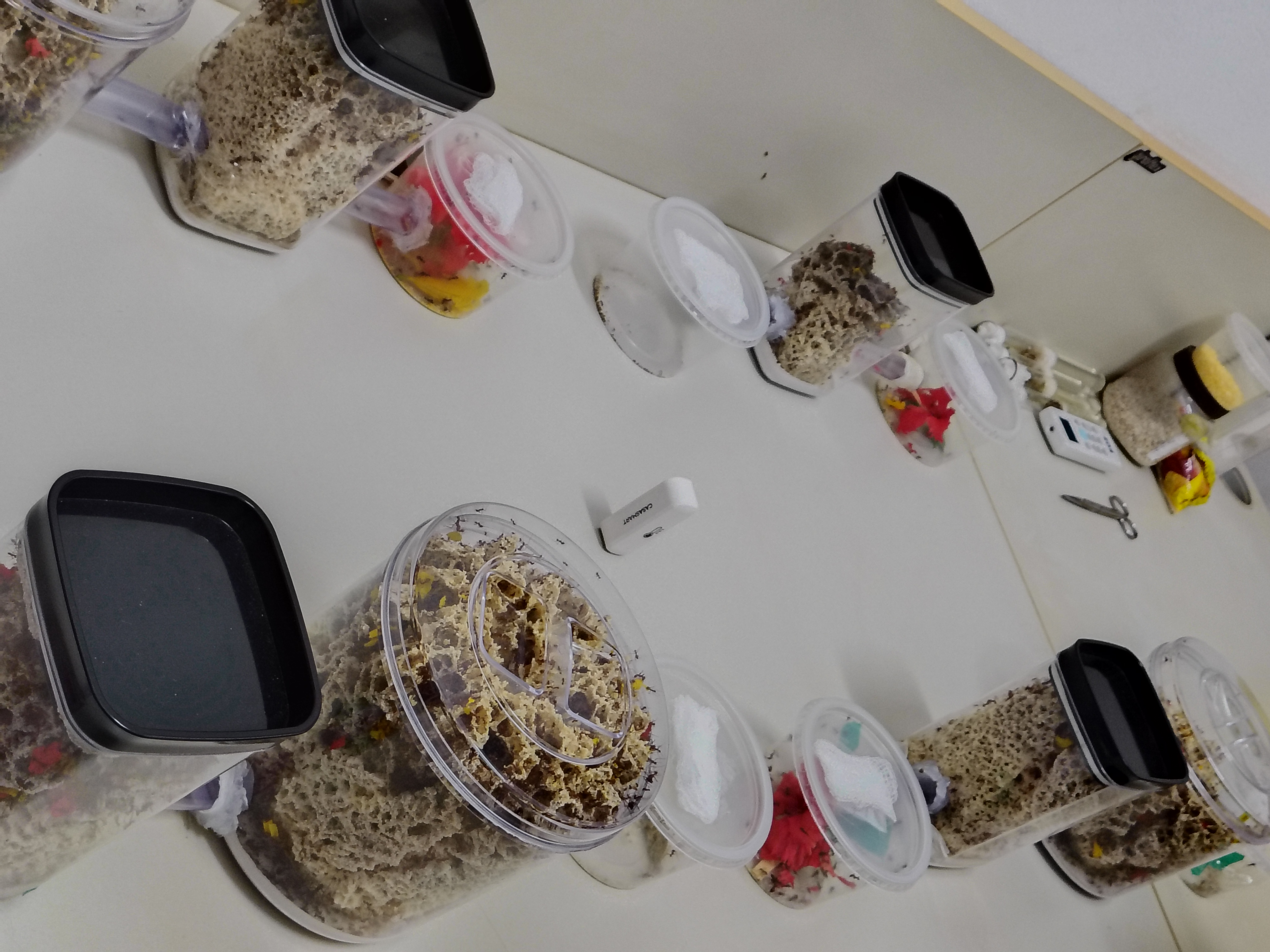 IMG_20250924_144518171_HDR