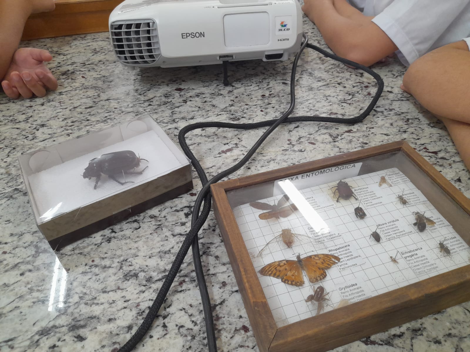 Estudantes do SESI visitam projeto sobre formigas cortadeiras na Faculdade Municipal de Bebedouro