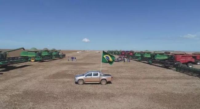Números a serem celebrados no Dia Mundial da Agricultura