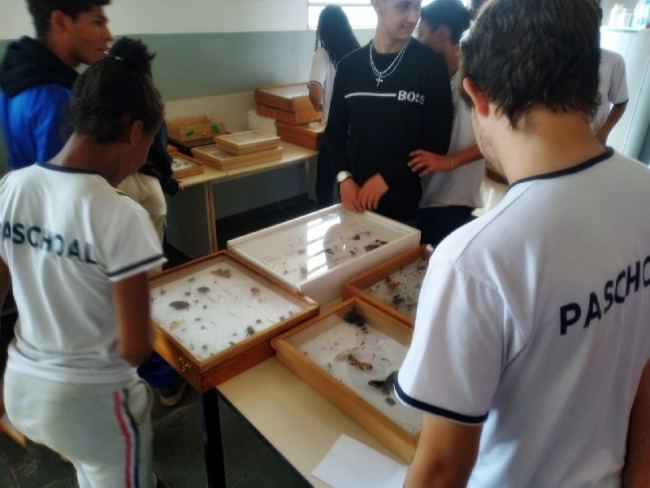 IMESB recebe a visita de alunos do Ensino Médio